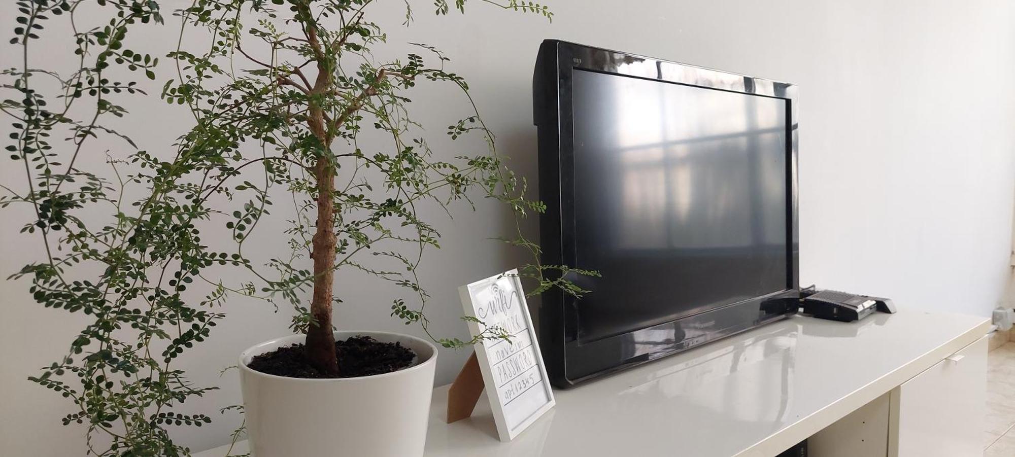 הנביאים 1 נתניה Naveim Apartment エクステリア 写真